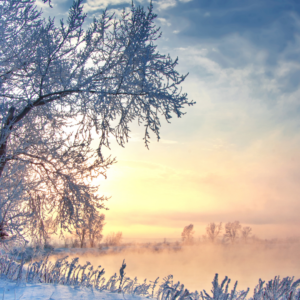 Retraite hivernale sur le leadership